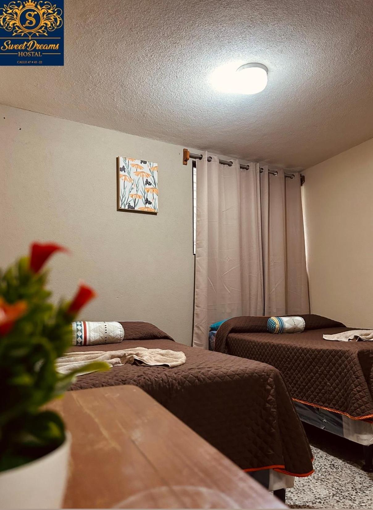 Hostal Sweet Dreams 帕纳哈切尔 外观 照片