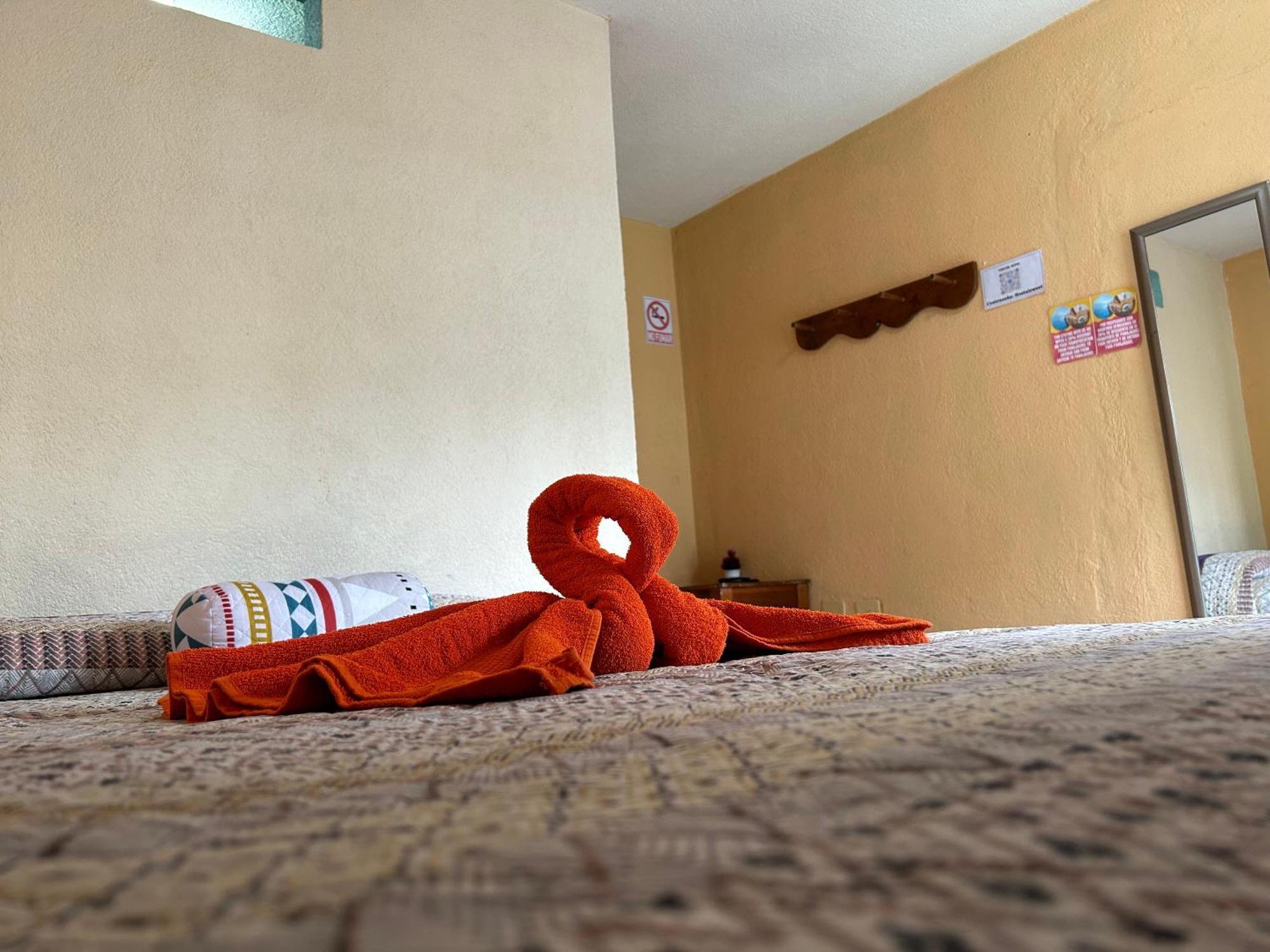 Hostal Sweet Dreams 帕纳哈切尔 外观 照片